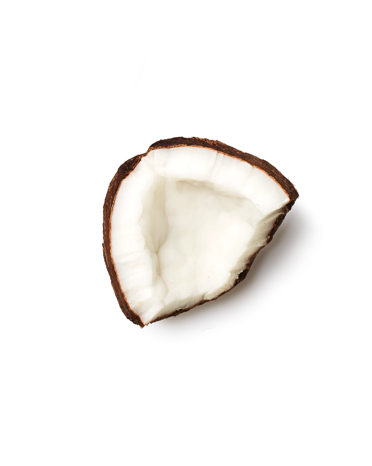 Coconut Protein Puff Bars - Image 8