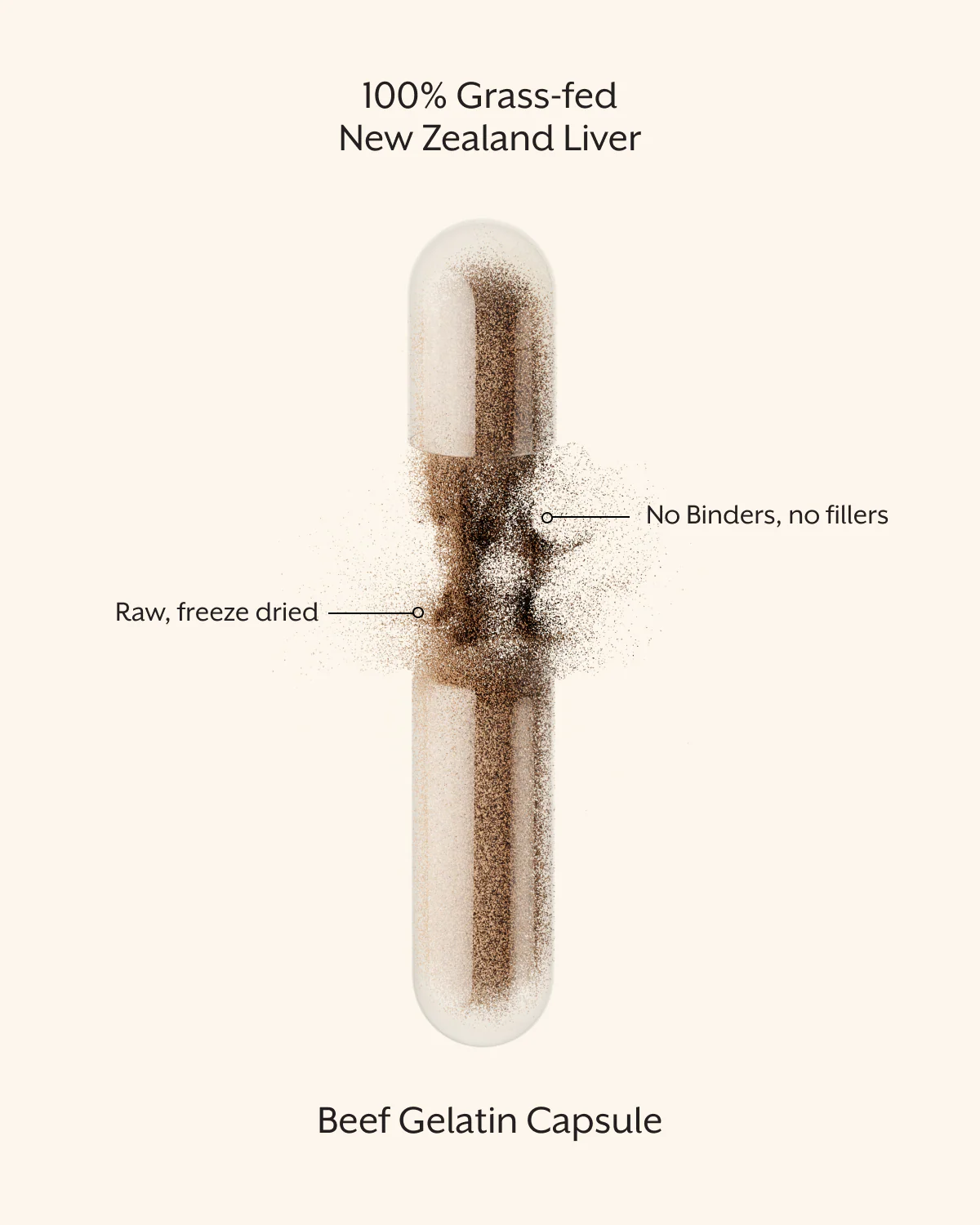 Raw Liver Capsules Sample - Image 6